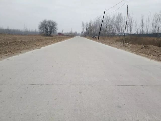 亮化、绿化、美化！河间尊祖庄乡开启“加速键”