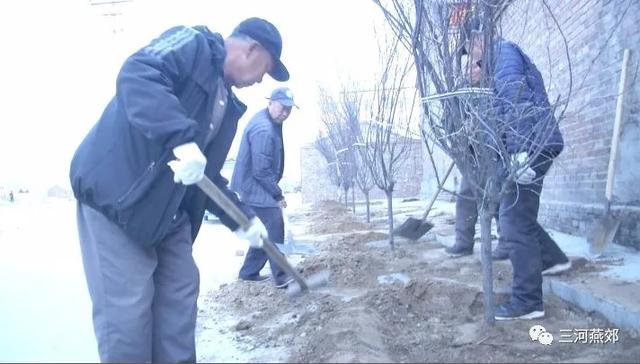 燕郊镇开展人居环境整治植树活