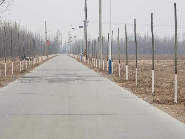 亮化、绿化、美化！河间尊祖庄乡开启“加速键”