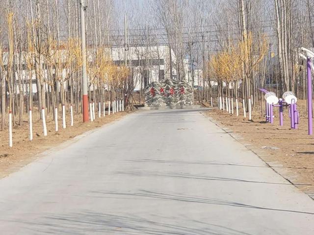 亮化、绿化、美化！河间尊祖庄乡开启“加速键”