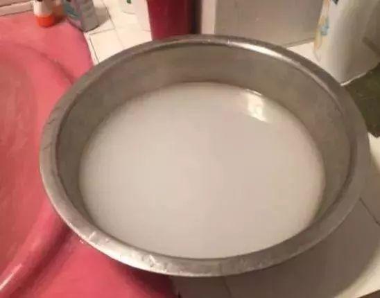 用牛奶浇花，这一步给落了，不出一周土里就长毛