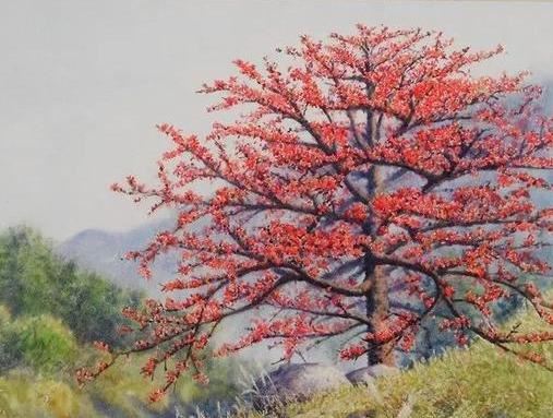 木棉纤维被誉为“植物软黄金”，花通常红色，有时橙红色