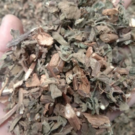 藿香本身是具有芳香味的植物，全株都具有香味，花冠淡紫蓝色