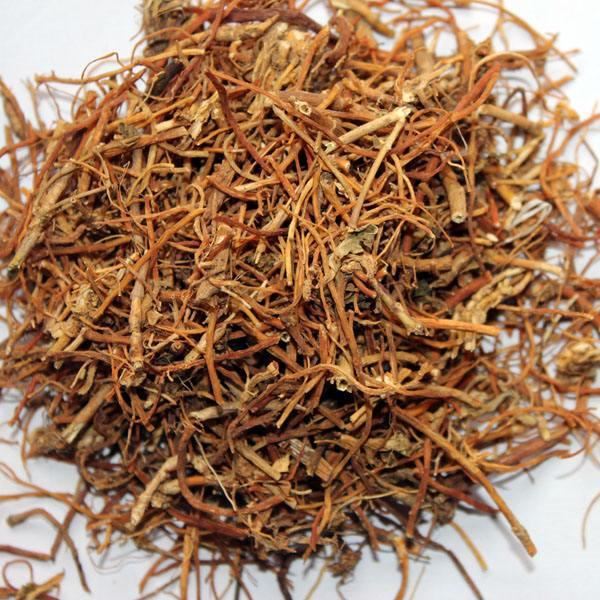 龙胆草，是一种比较罕见的植物，花淡紫红色