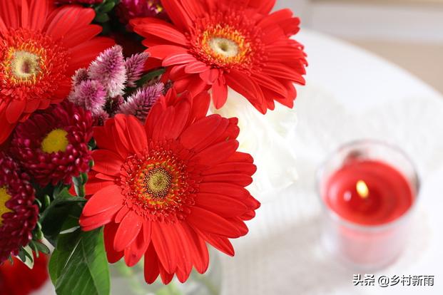 每日春花|扶郎花：更无柳絮倚风起，惟有扶郎向日倾