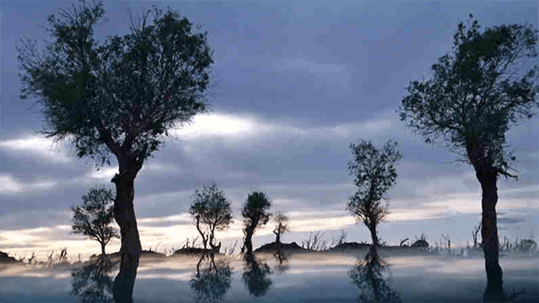 云游中国 | “云游”新疆伊吾，感受胡杨林的壮美