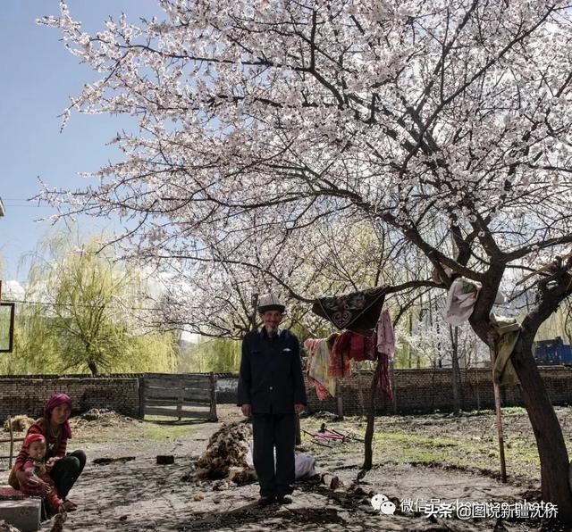 天山深处的小村庄,又是杏花盛开的季节 天山深处的小村庄,又是杏花盛开的季节
