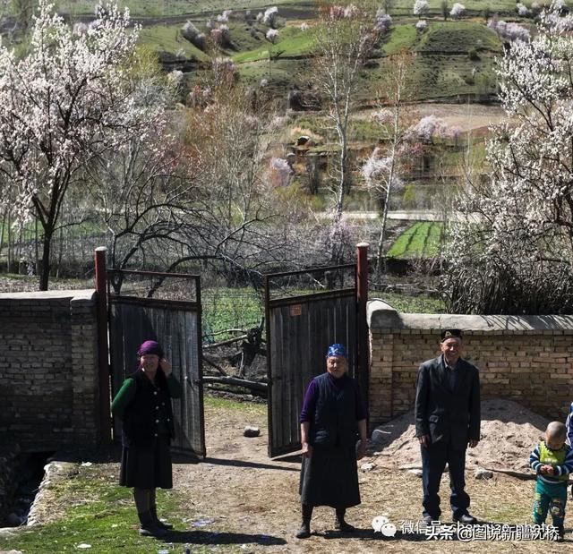天山深处的小村庄,又是杏花盛开的季节 天山深处的小村庄,又是杏花盛开的季节
