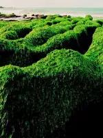 江山如画，绝色中国！