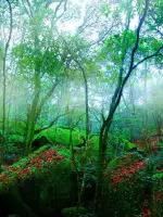 江山如画，绝色中国！