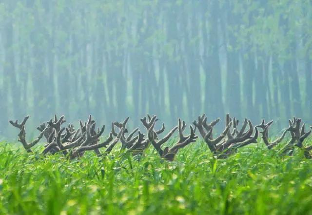 江山如画，绝色中国！