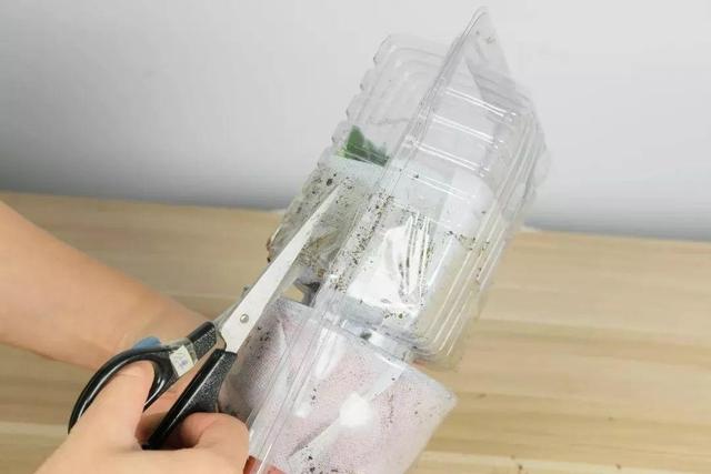 耐阴花就选它，占地小开花多，摆在家里很精致