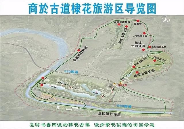 最美人间四月天，棠棣艳出群芳外