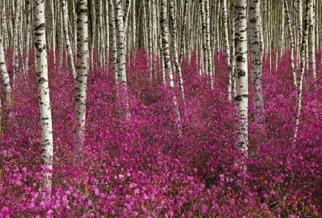 江山如画，绝色中国！