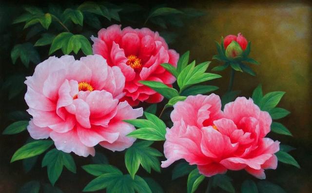 种一丛花，整个院子都飘满花香