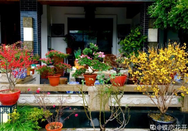 养花人的理想生活：找个小院子，守着四季花开