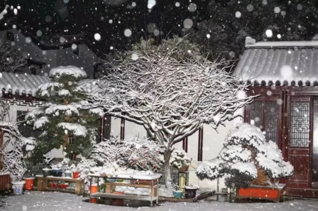 养花人的理想生活：找个小院子，守着四季花开