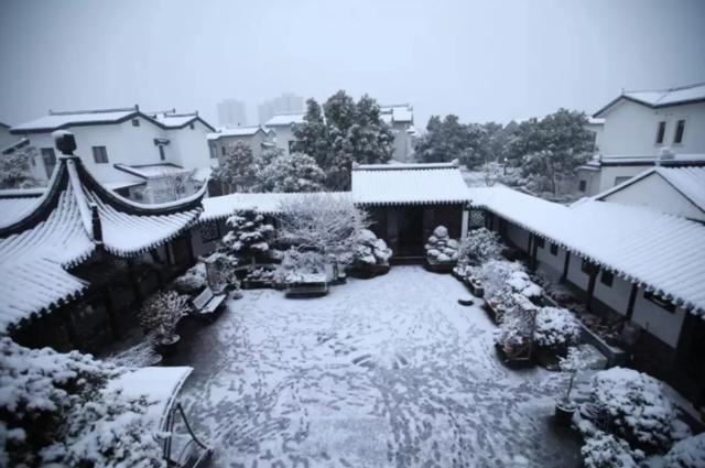 养花人的理想生活：找个小院子，守着四季花开