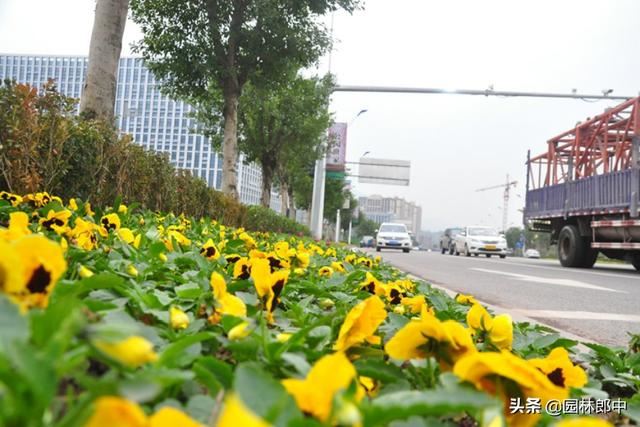 四月份，做好这7点，抓住植物生长恢复期，莫要辜负这大好春光！