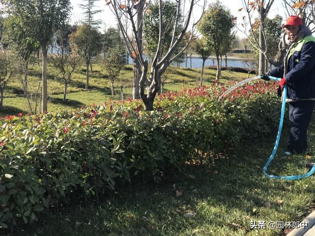 四月份，做好这7点，抓住植物生长恢复期，莫要辜负这大好春光！