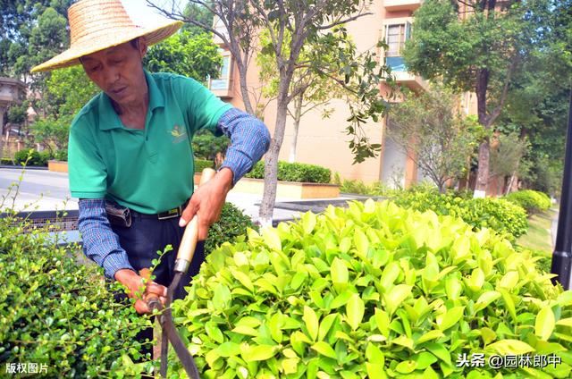 四月份，做好这7点，抓住植物生长恢复期，莫要辜负这大好春光！