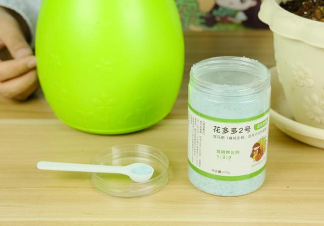 5种花现在就要勤施肥，每隔10天灌点它，花苞咕噜咕噜冒出来