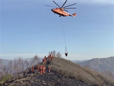 [最美林业故事]森林卫士：守护绿色净土