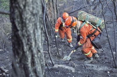 [最美林业故事]森林卫士：守护绿色净土