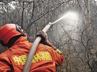 [最美林业故事]森林卫士：守护绿色净土