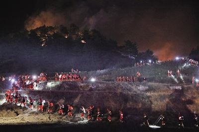 [最美林业故事]森林卫士：守护绿色净土