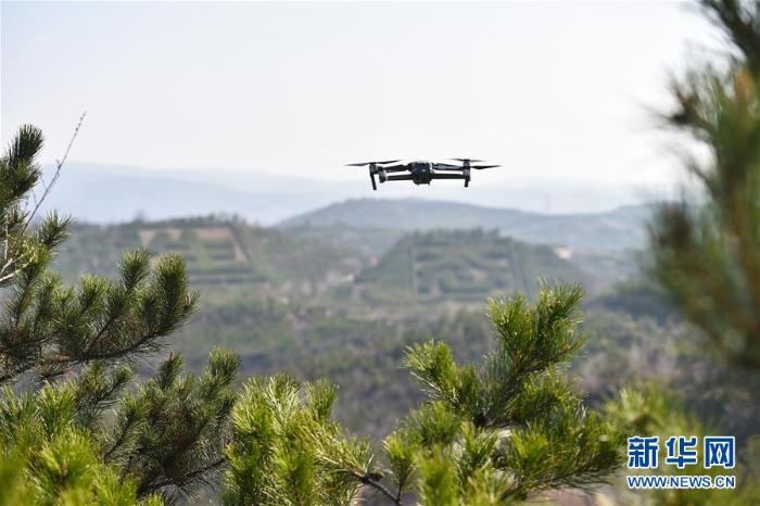 山西：多管齐下护林防火