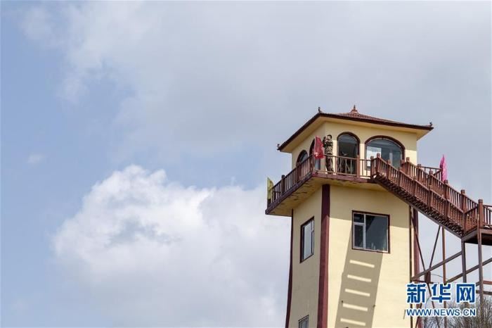 山西：多管齐下护林防火