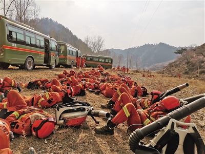 [最美林业故事]森林卫士：守护绿色净土