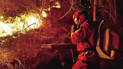 [最美林业故事]森林卫士：守护绿色净土