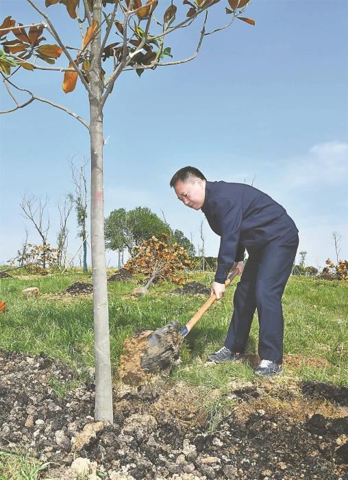 安徽省暨合肥市党政军领导与干部群众义务植树