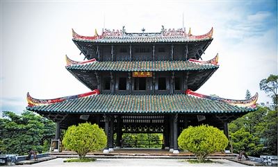 [树木传奇]格木：百折不挠的“硬汉”