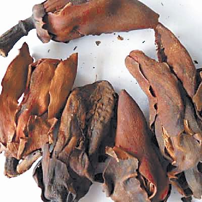 厚朴:淳厚质朴 千年奇药 厚朴:淳厚质朴 千年奇药