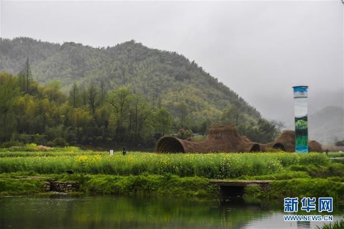 在“浙”里看见美丽中国