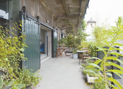 田野可栽苗　“云端”能造林