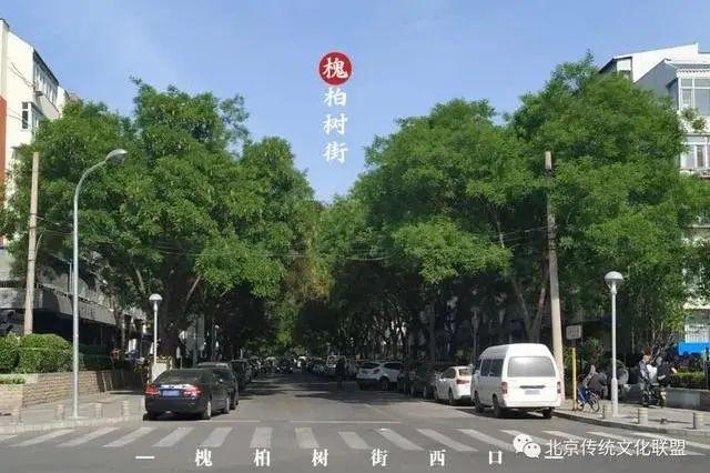 老北京植树种花都有什么讲究？