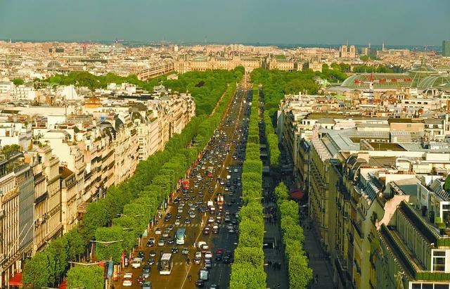 国外种路边的树，没有一个见过，长见识了