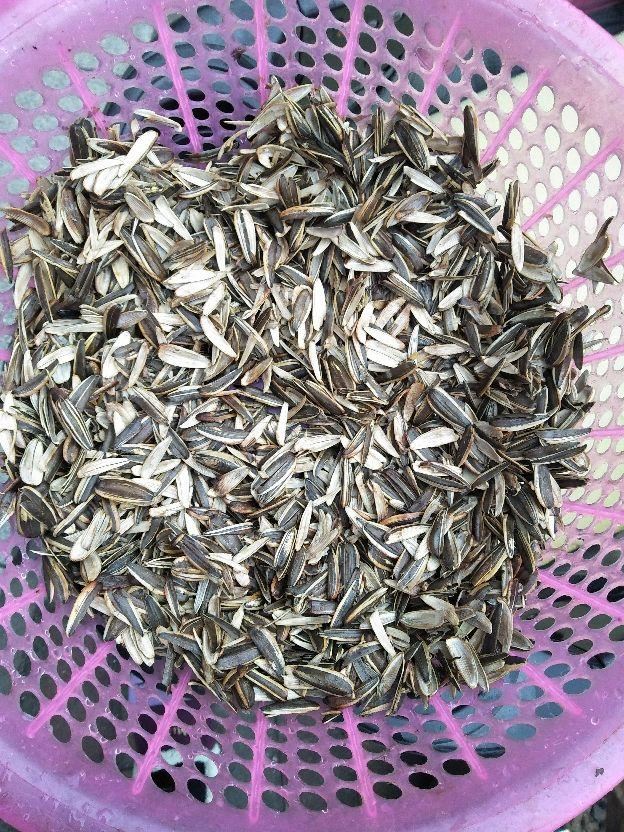 养花人的“节约”习惯，你中了哪几条