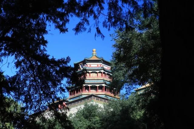 老北京植树种花都有什么讲究？