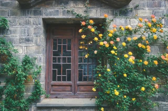 老北京植树种花都有什么讲究？