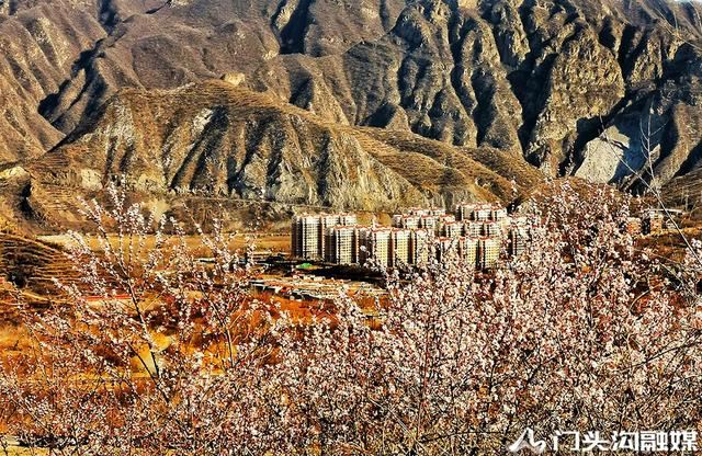 莺飞三月 云赏门城~