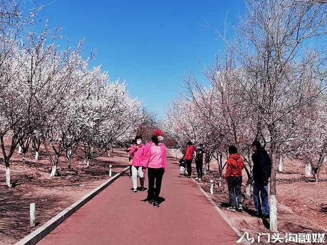 莺飞三月 云赏门城~