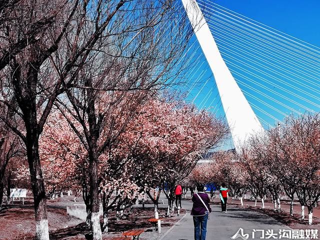 莺飞三月 云赏门城~