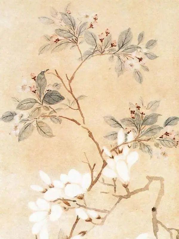 老北京植树种花都有什么讲究？