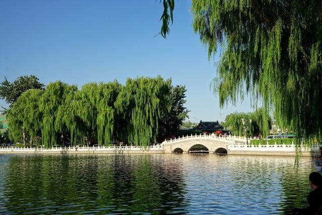 老北京植树种花都有什么讲究？