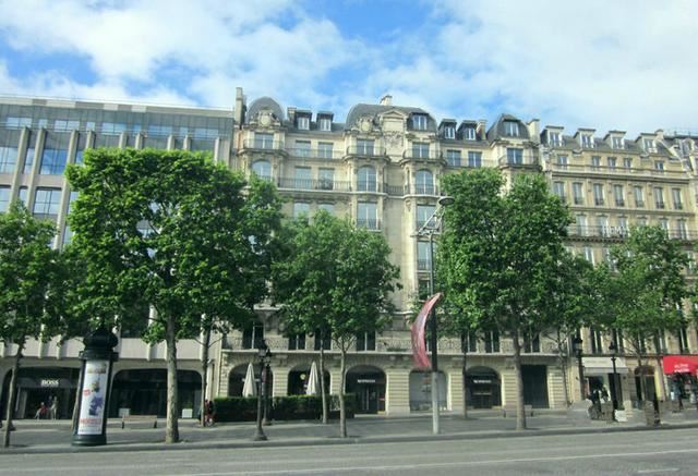 国外种路边的树，没有一个见过，长见识了